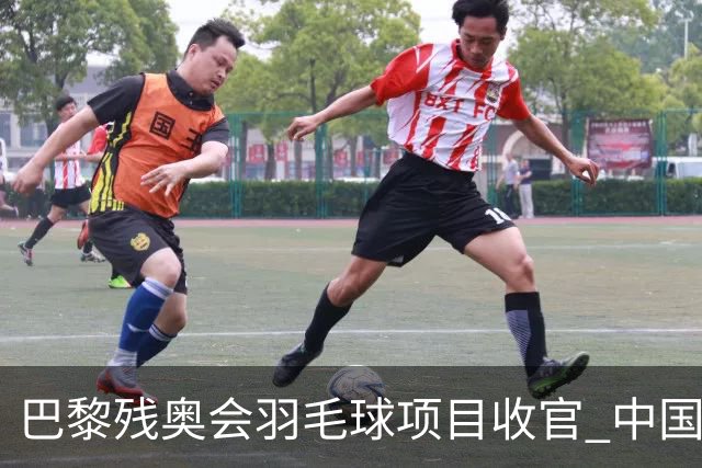 巴黎残奥会羽毛球项目收官 中国队斩获9金2银1铜